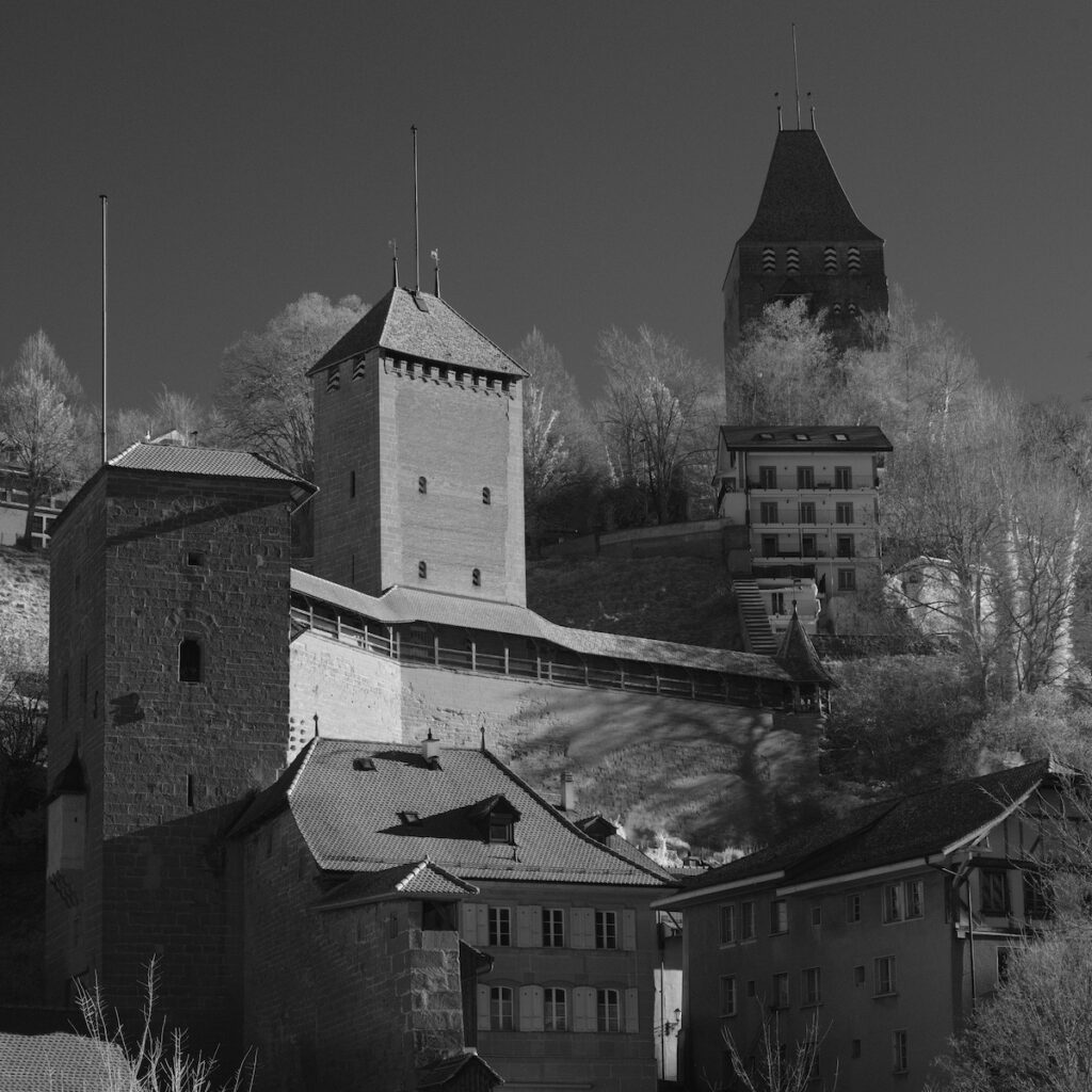 DSCF0801