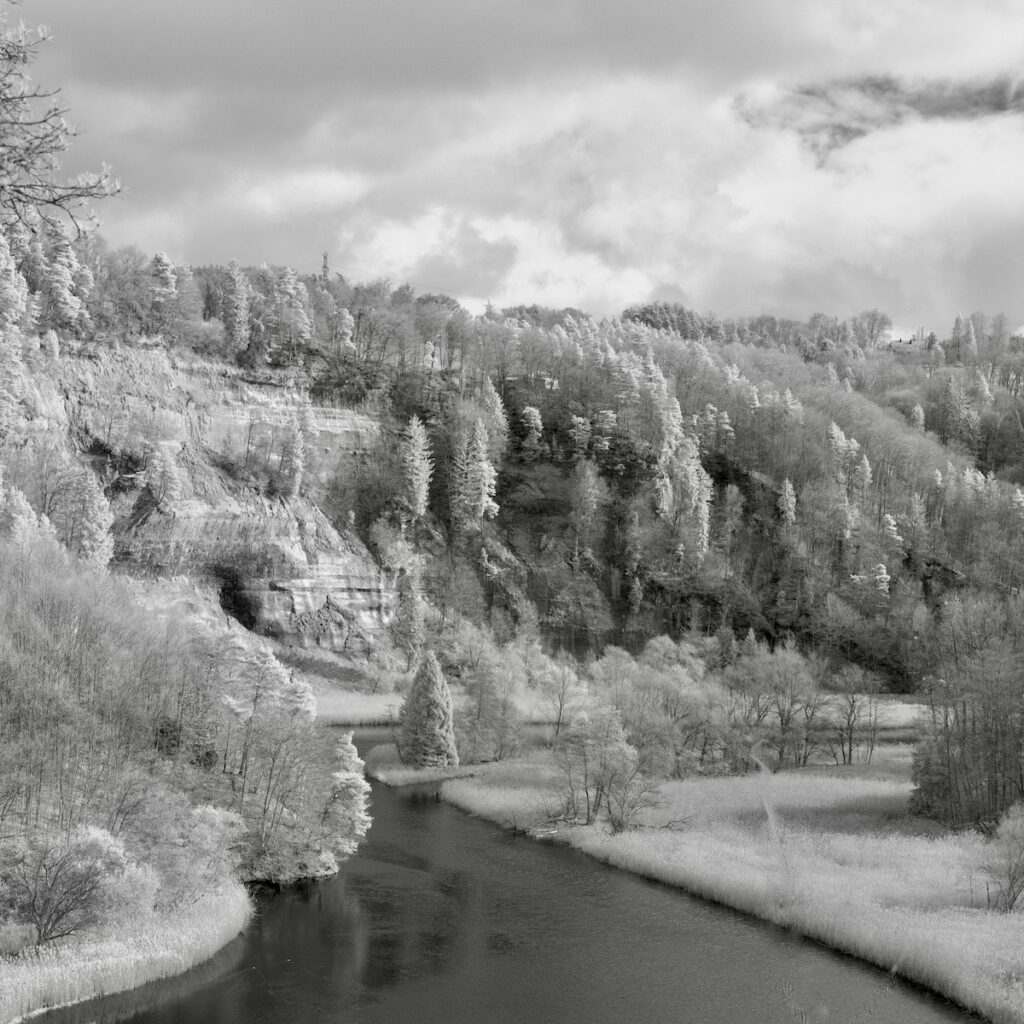 DSCF0822